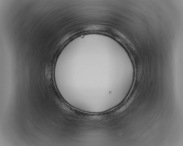 X0000111821017200908201126