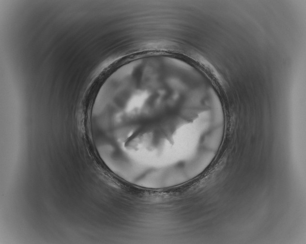 X0000111821019200908201126