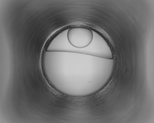 X0000111821020200908201126