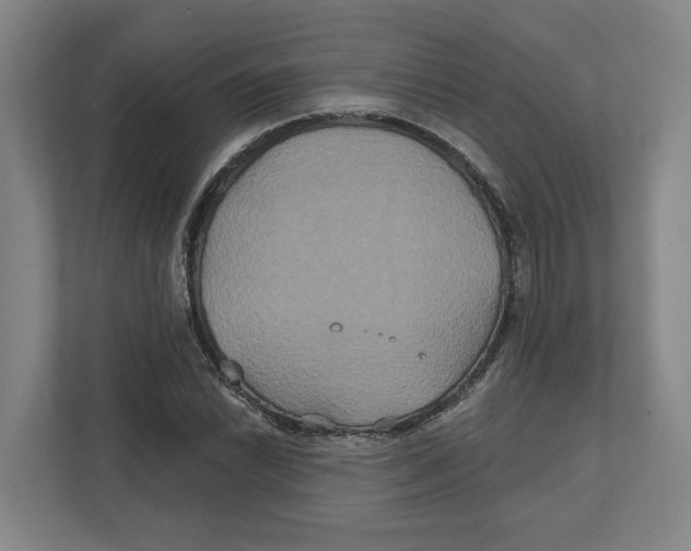 X0000111821022200908201126