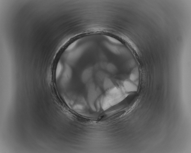 X0000111821023200908201126