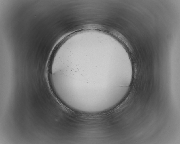 X0000111821024200908201126