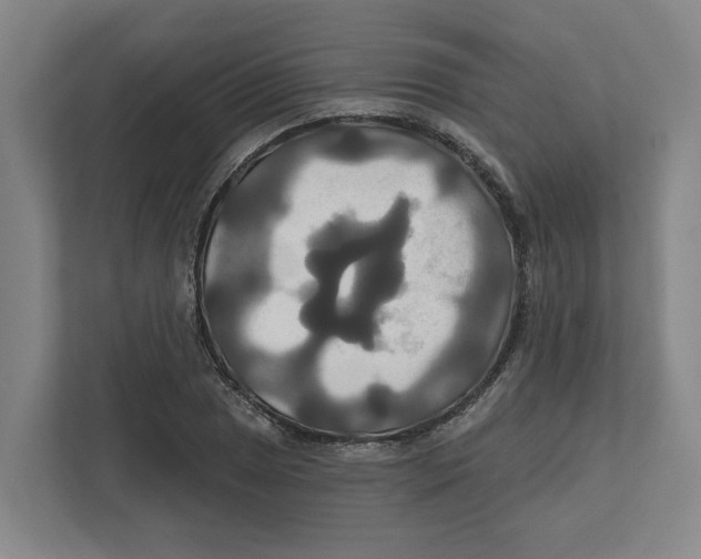 X0000111821025200908201126
