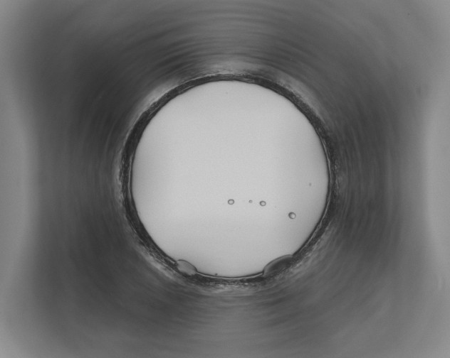 X0000111821026200908201126