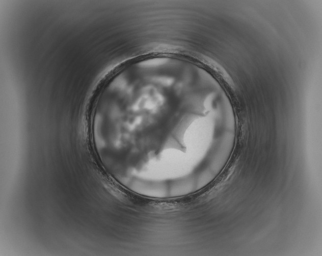 X0000111821027200908201126