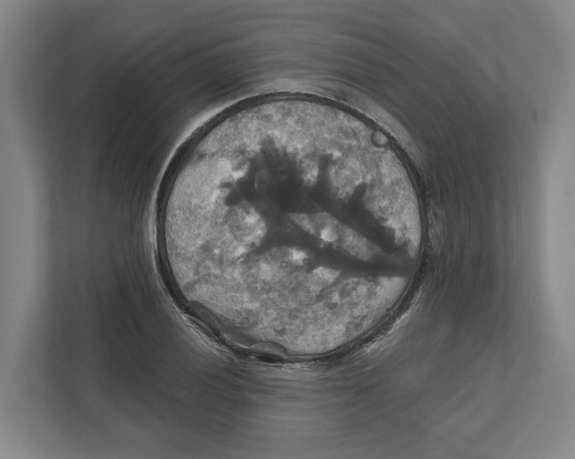 X0000111821028200908201126