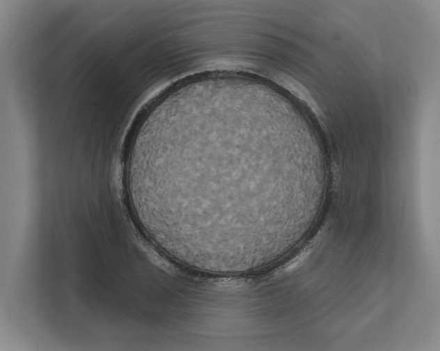 X0000111821029200908201126