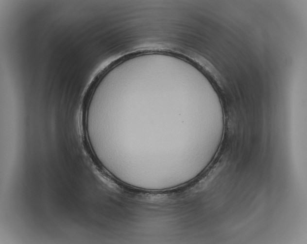 X0000111821030200908201126