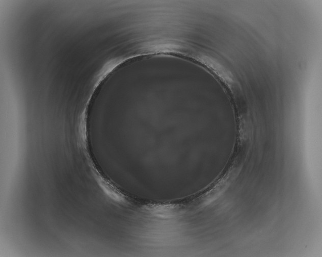 X0000111821031200908201126