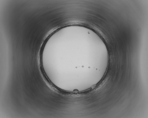 X0000111821034200908201126