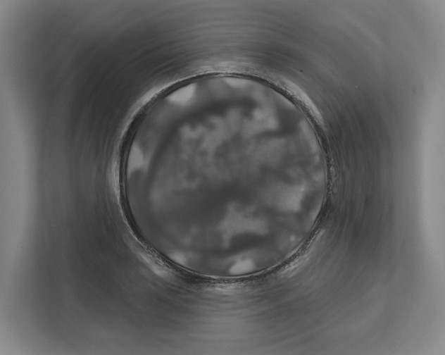 X0000111821035200908201126