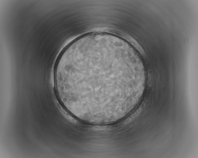 X0000111821036200908201126