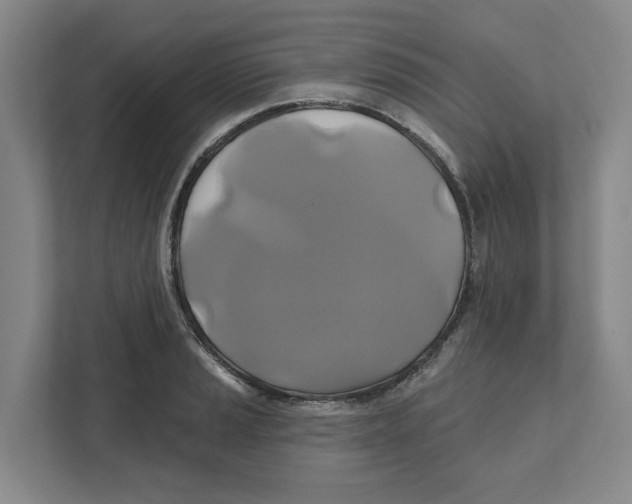 X0000111821037200908201126