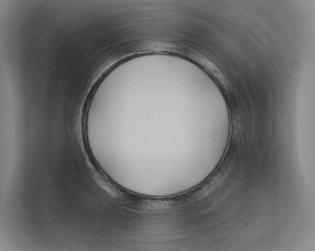 X0000111821039200908201126