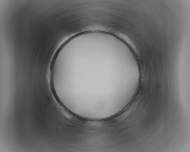 X0000111821040200908201126