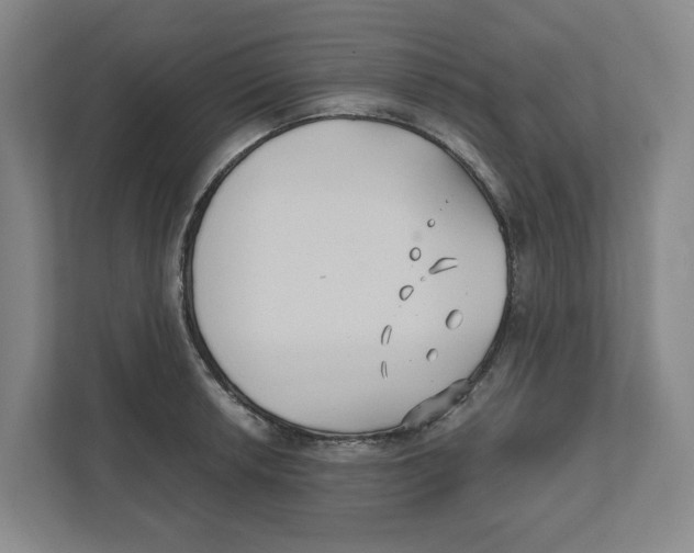 X0000111821042200908201127