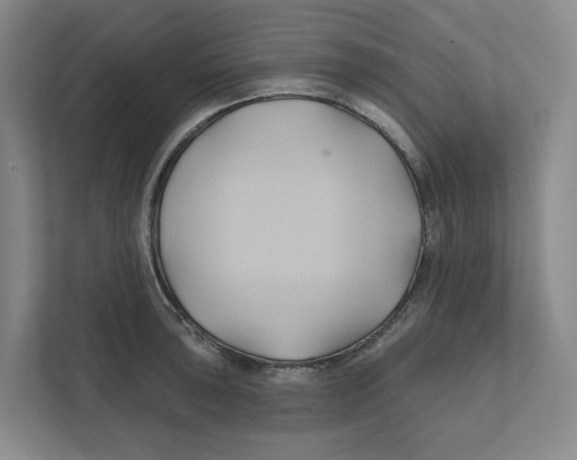 X0000111821043200908201127