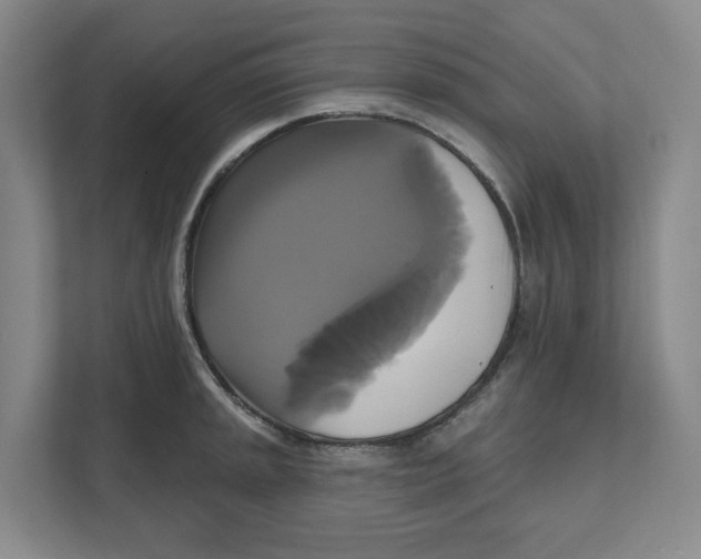 X0000111821045200908201127