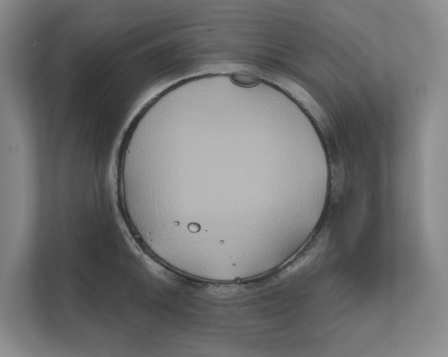 X0000111821046200908201127