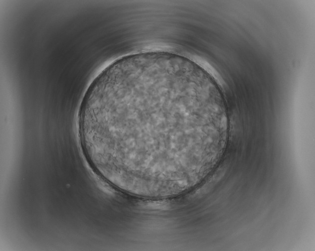 X0000111821047200908201127