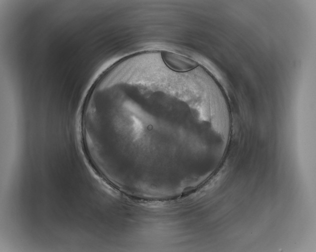 X0000111821048200908201127