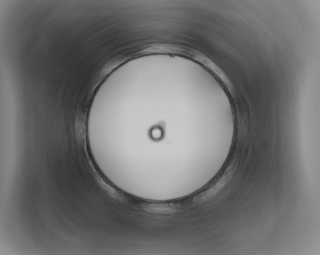 X0000111821049200908201127