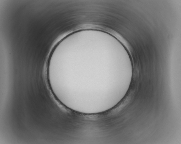 X0000111821053200908201127