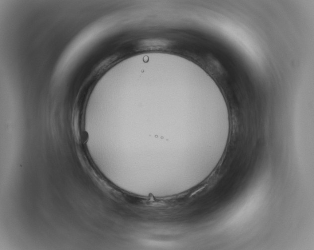 X0000111821054200908201127