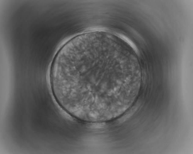 X0000111821055200908201127