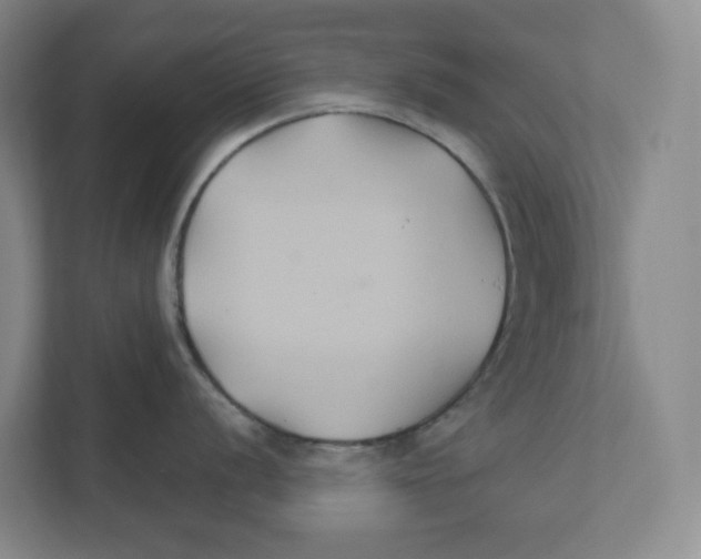 X0000111821056200908201127