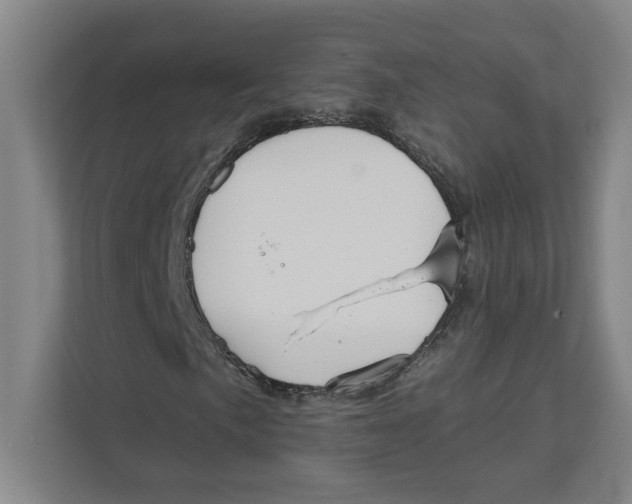 X0000111821057200908201126