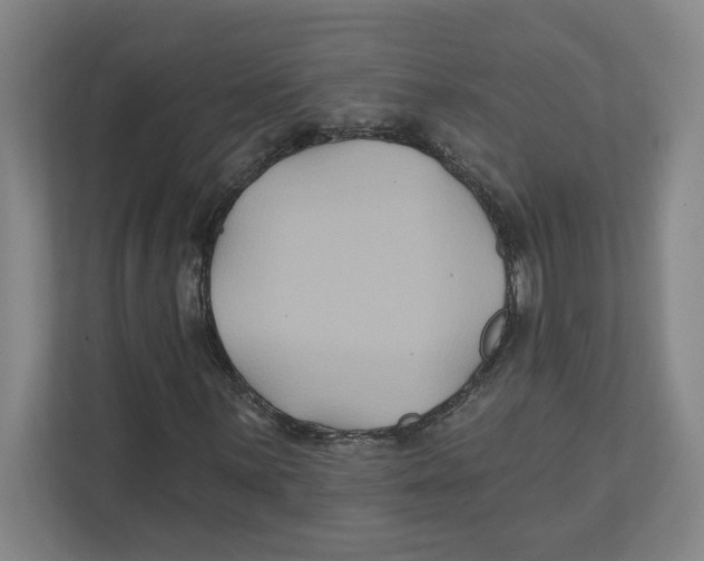 X0000111821059200908201126