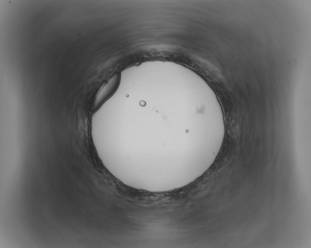 X0000111821061200908201126