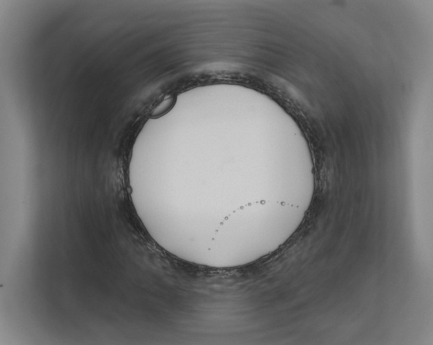 X0000111821062200908201126