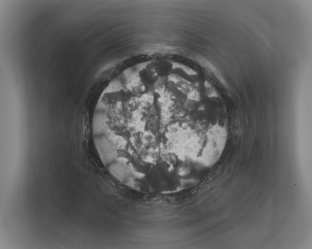 X0000111821063200908201126