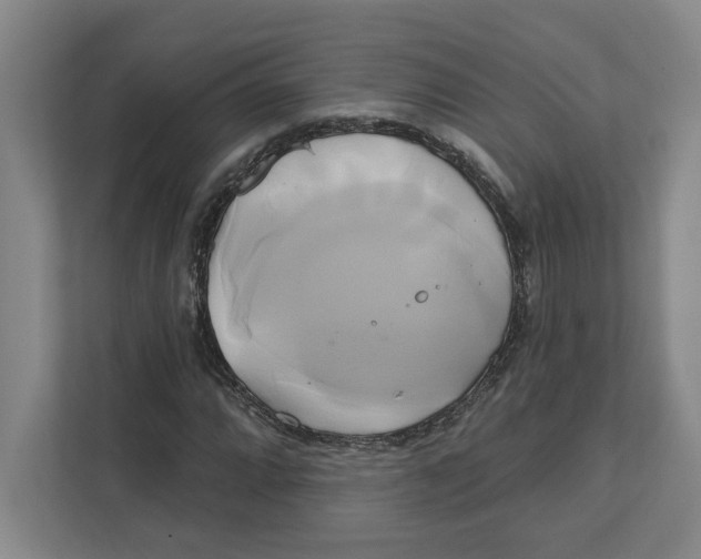 X0000111821064200908201126