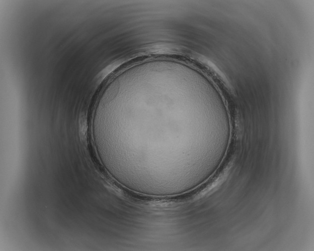 X0000111821065200908201126