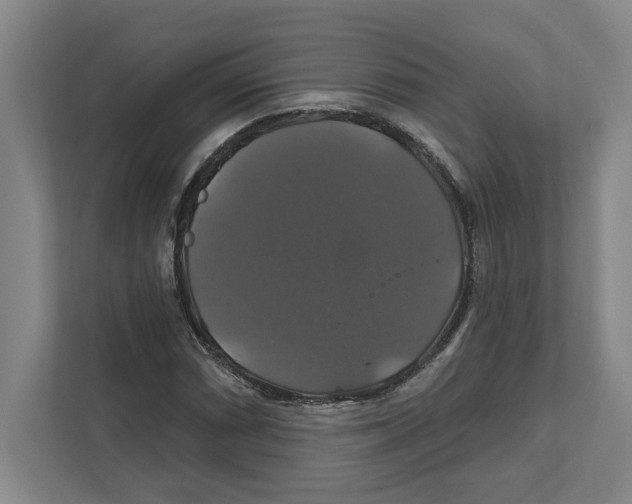 X0000111821066200908201126