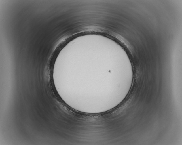 X0000111821067200908201126
