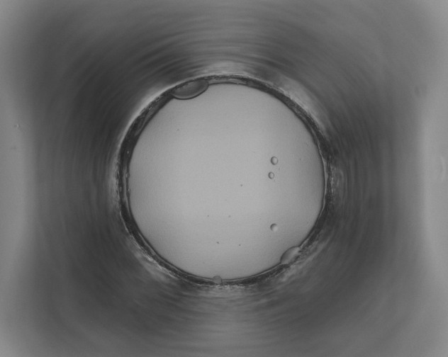 X0000111821068200908201126