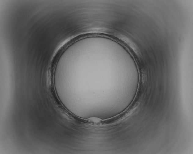 X0000111821069200908201126