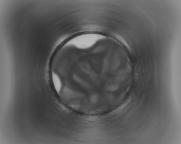 X0000111821071200908201126