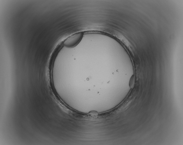 X0000111821072200908201126