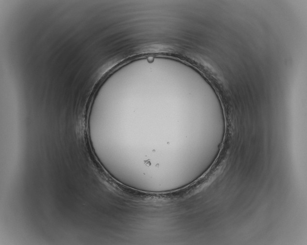 X0000111821073200908201126