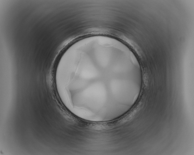 X0000111821074200908201126