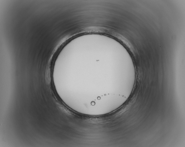 X0000111821075200908201126