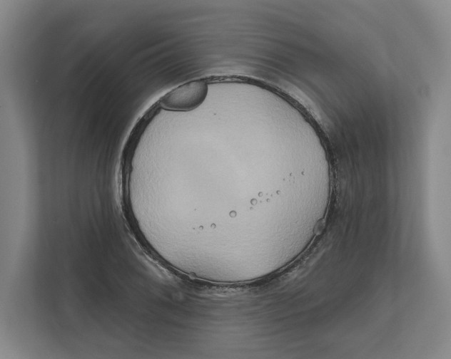 X0000111821076200908201126