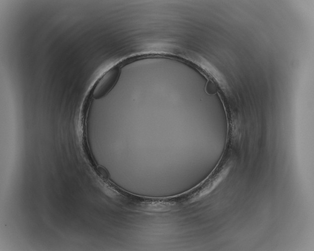 X0000111821077200908201126