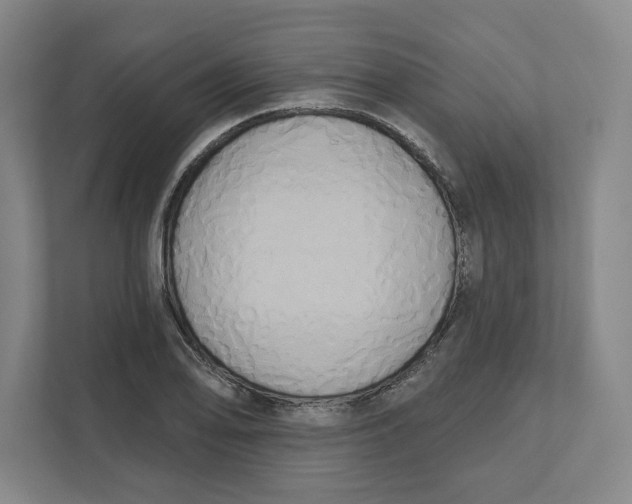 X0000111821078200908201126