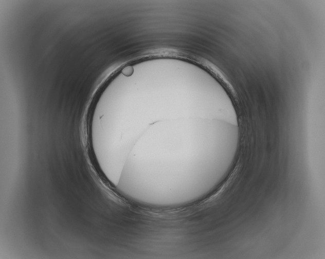 X0000111821082200908201126